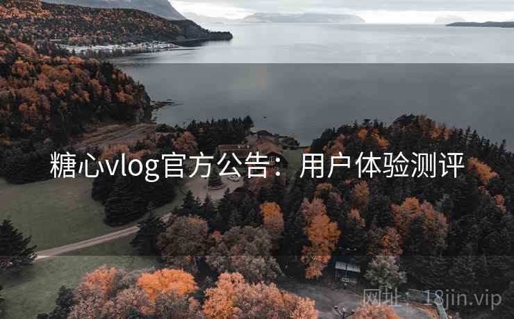 糖心vlog官方公告:用户体验测评