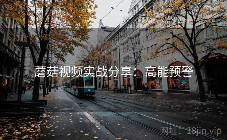 蘑菇视频实战分享:高能预警